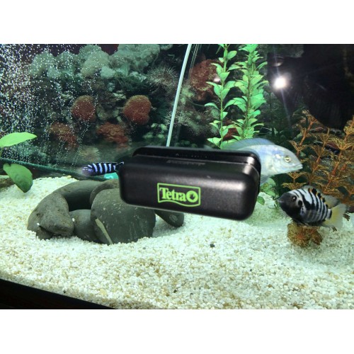 Tetra MC Magnet Cleaner L