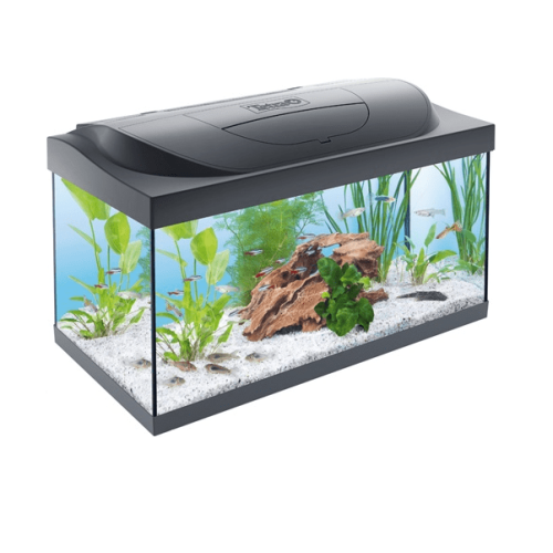 Tetra Starter Line LED 54 л