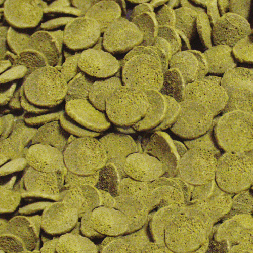 Sera Wels-Chips 15 гр.