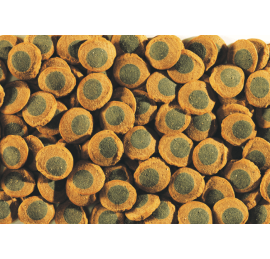 Tetra Pleco Spirulina Wafers 15 гр.