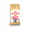 Royal Canin British Shorthaer Kitten 2 кг.