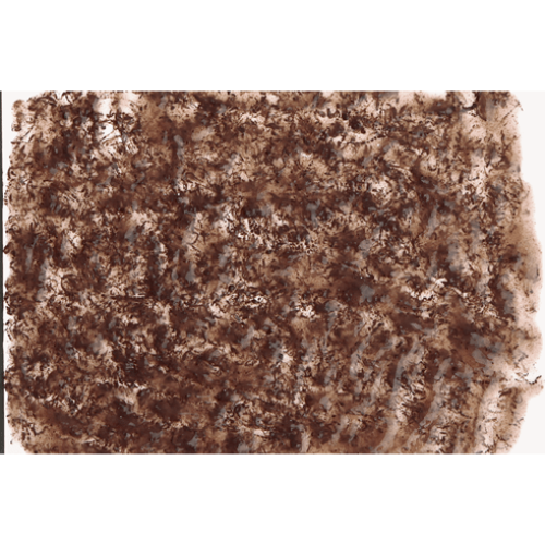 Tetra FreshDelica Bloodworms 2 пакетика