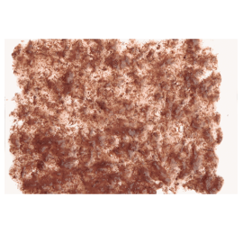 Tetra FreshDelica Brine Shrimps 2 пакетика