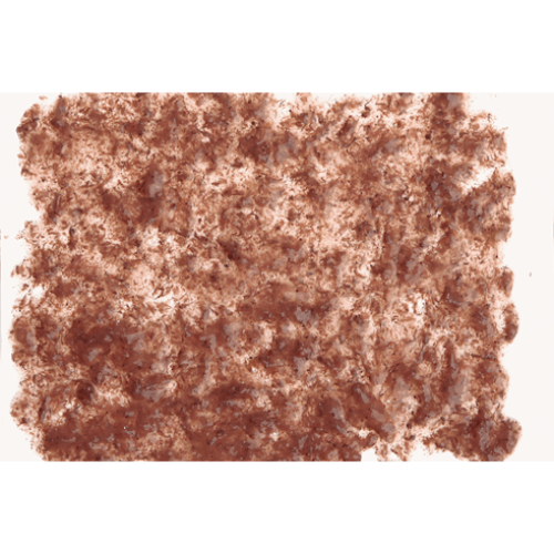 Tetra FreshDelica Brine Shrimps 2 пакетика