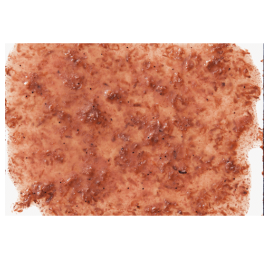 Tetra FreshDelica Krill 2 пакетика