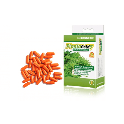 Dennerle Planta Gold 7 в капсулах, 1 капсула