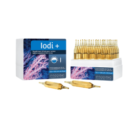Prodibio Iodi+, 1 ампула