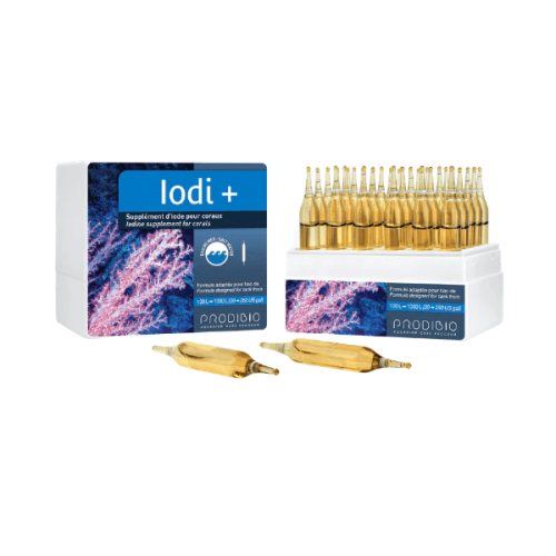 Prodibio Iodi+, 1 ампула