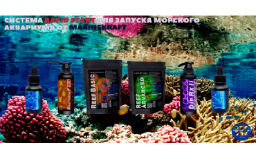 Система запуска Marinekraft.