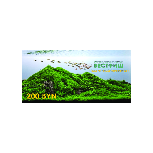 Подарочный сертификат 200