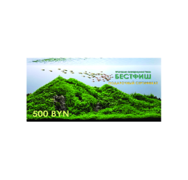 Подарочный сертификат 500