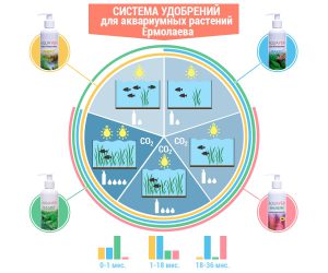 система Ермолаева
