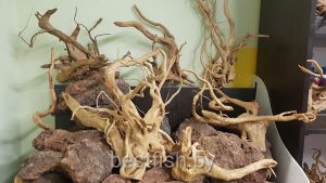 Коряга природная
