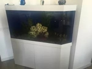 Аквариум в доме