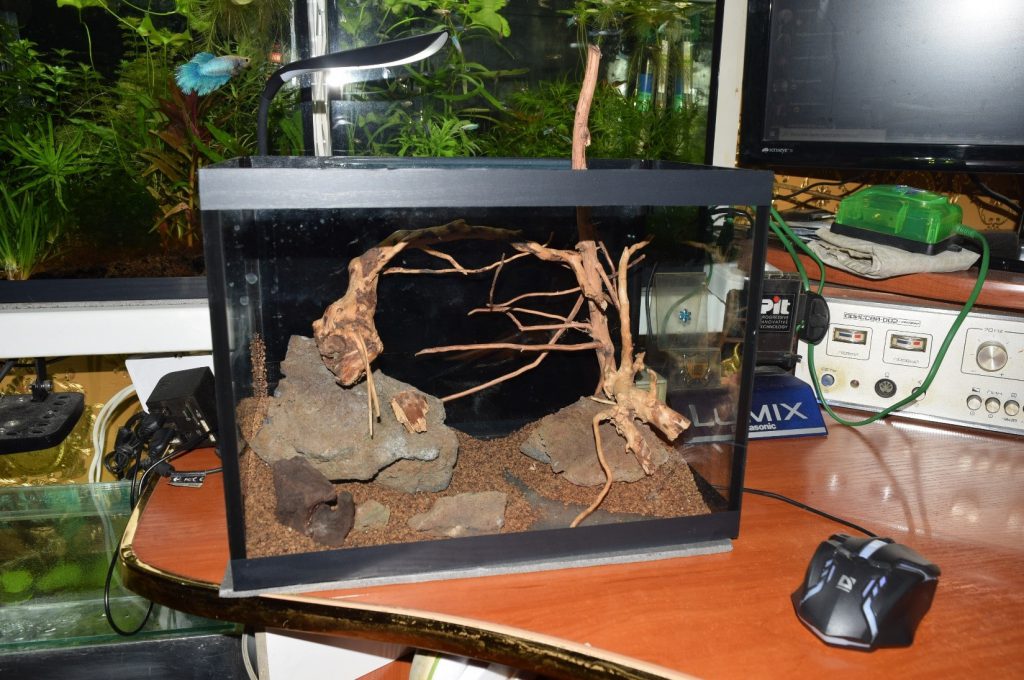 коряги в аквариуме