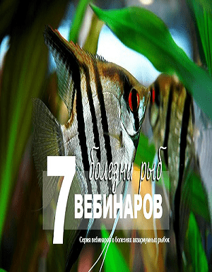 Вебинары о болезнях рыб