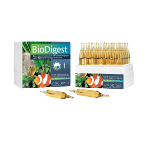 Prodibio BioDigest